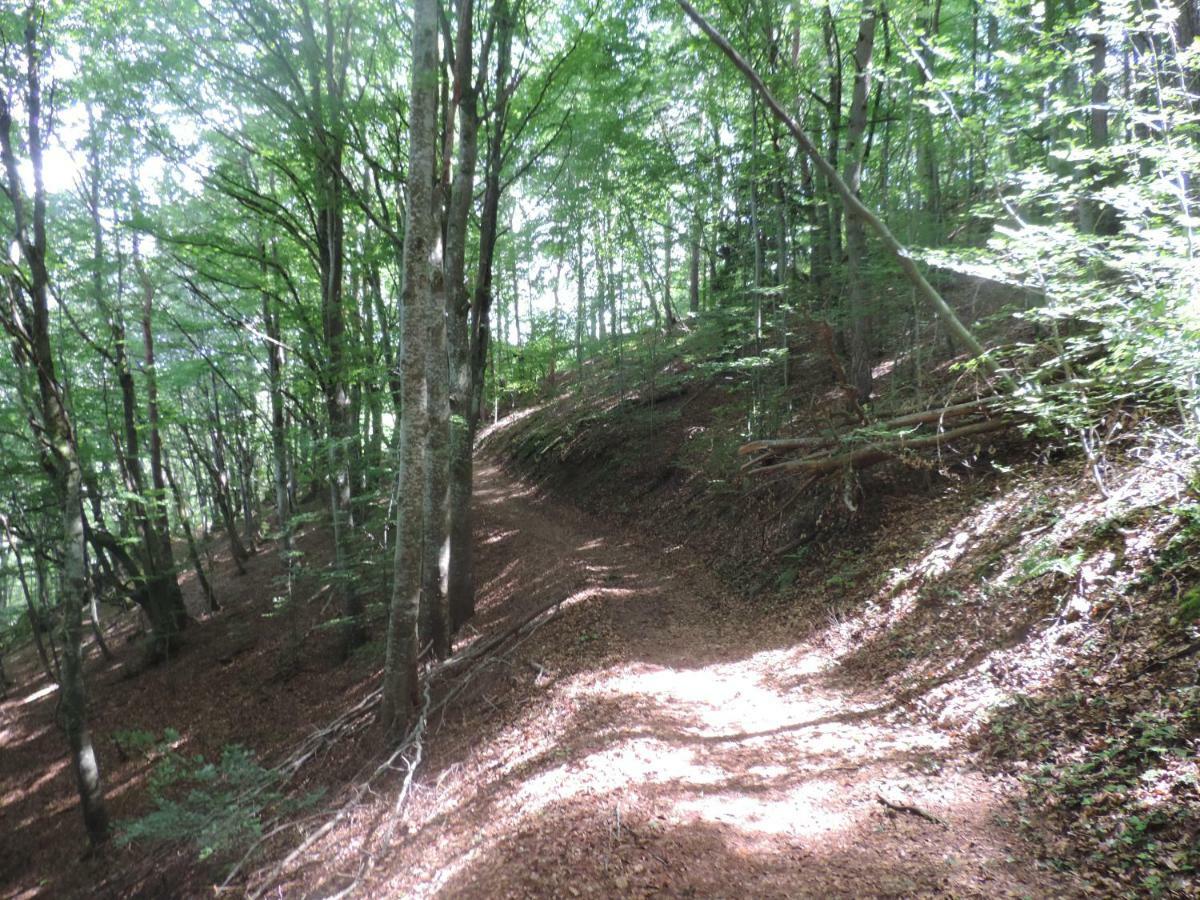 Se Reconnecter A La Nature Au Gite 3 Etoiles De Montager A Saint Andre De Chalencon Экстерьер фото